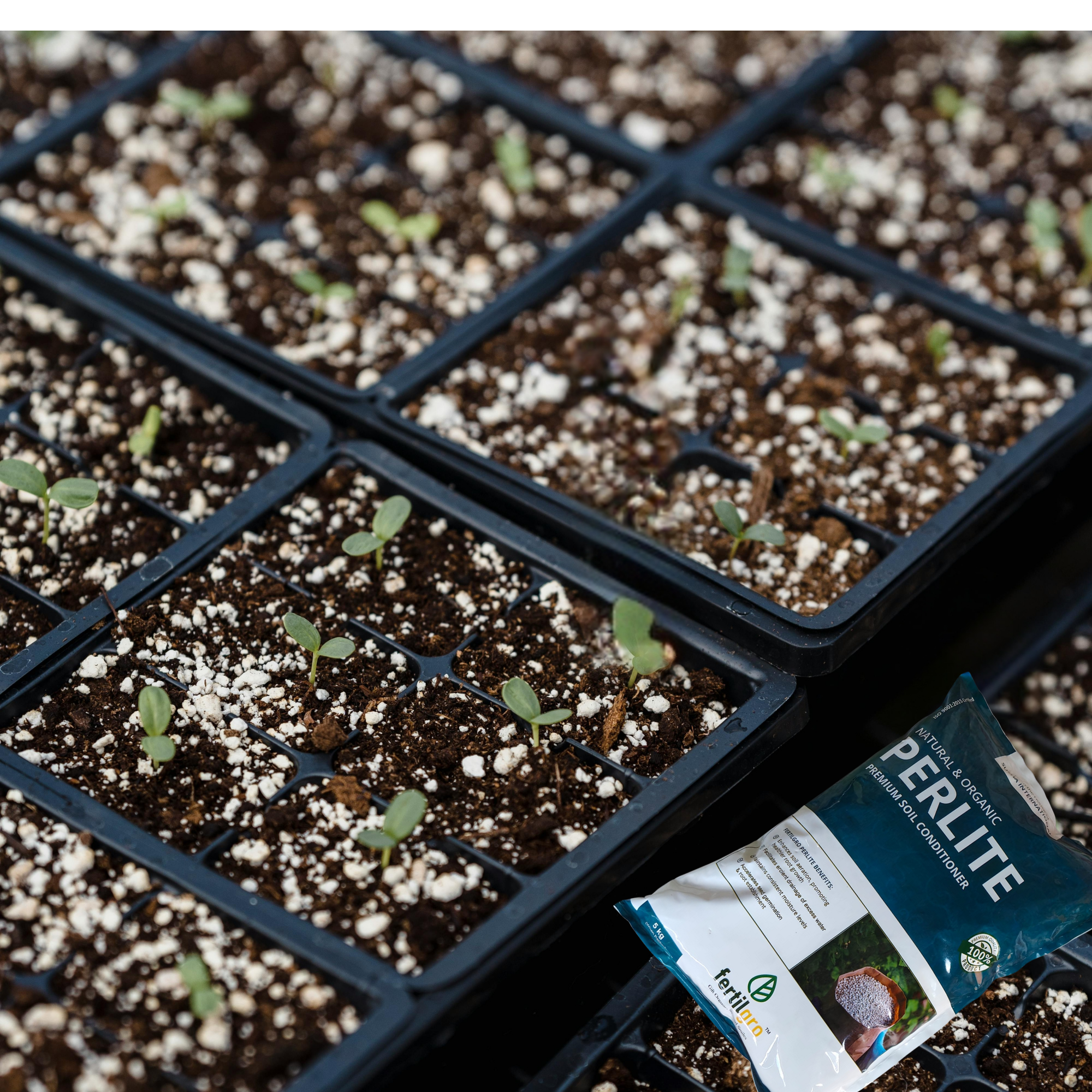 FERTILGRO Perlite - Image 5