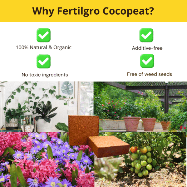 FERTILGRO Cocopeat Block - Image 3