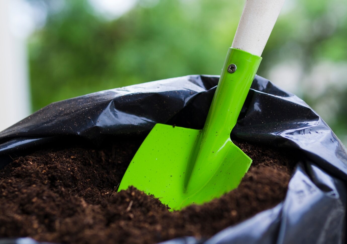 Read more about the article Organic Cow Manure – A Natural Soil Booster
