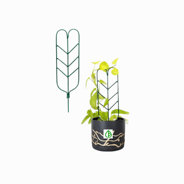 FERTILGRO Metal Black Plant Support Climber Extension (Pack of 10) - Image 7