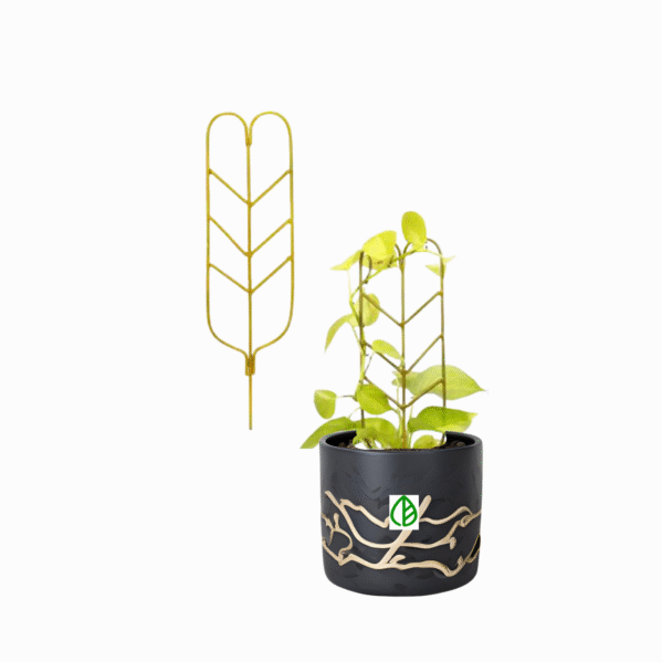FERTILGRO Metal Black Plant Support Climber Extension (Pack of 10) - Image 8